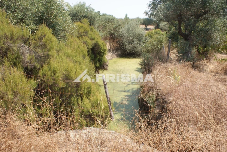 Terreno para Venda em Orca Foto 3