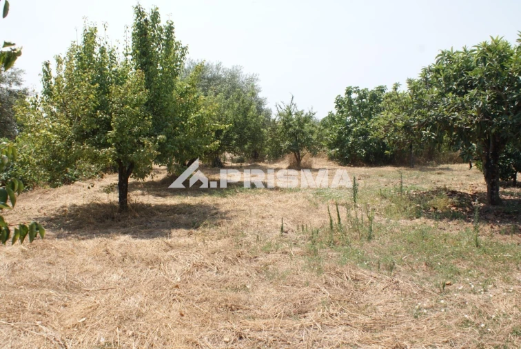 Terreno para Venda em Orca Foto 22