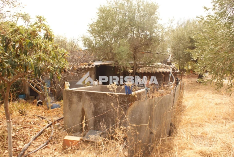 Terreno para Venda em Orca Foto 31