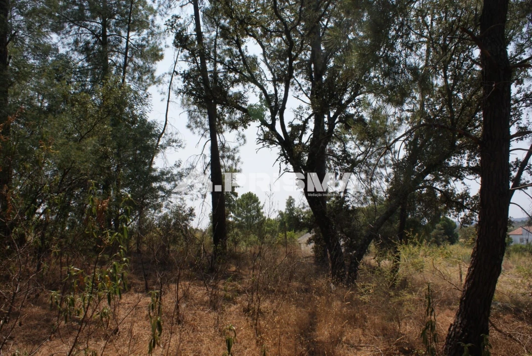 Terreno para Venda em Orca Foto 24