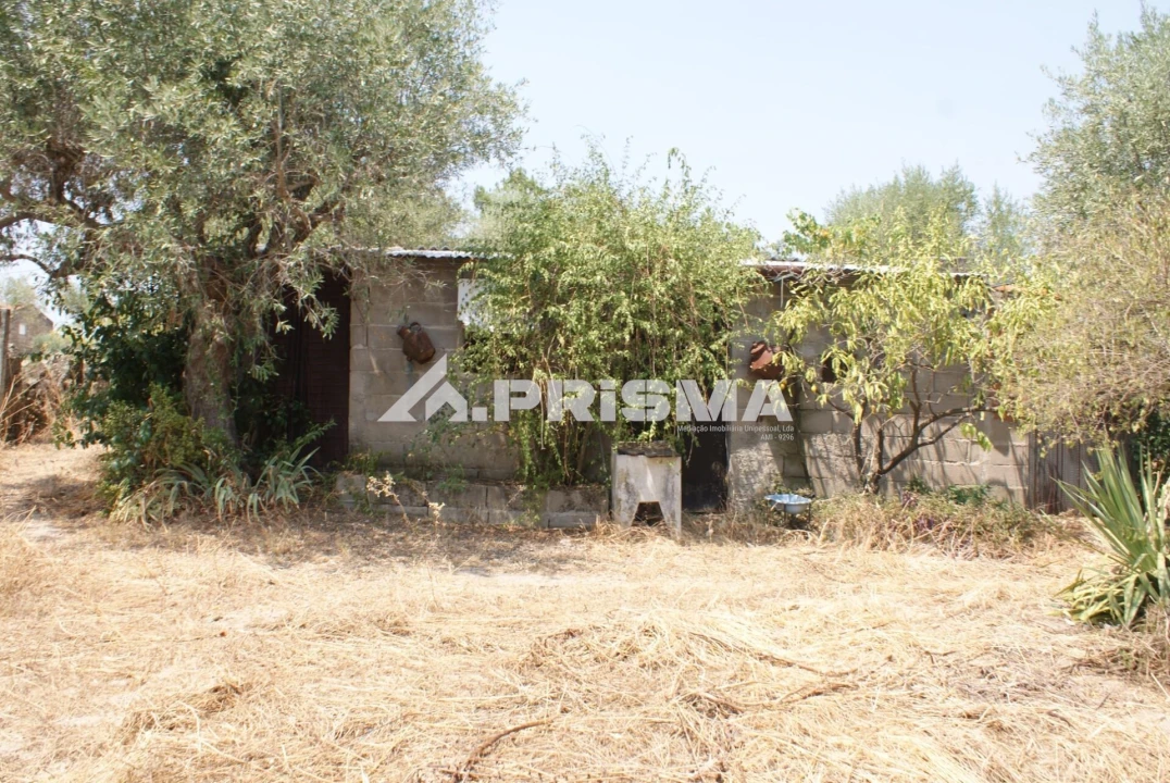 Terreno para Venda em Orca Foto 1