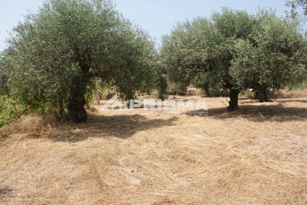 Terreno para Venda em Orca Foto 4