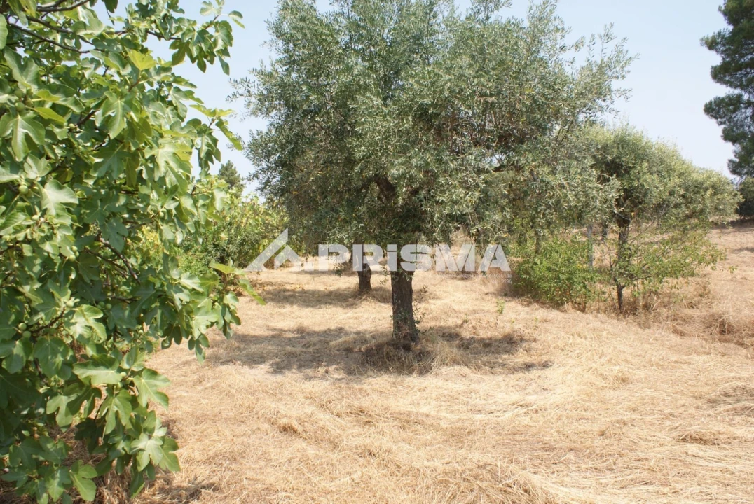 Terreno para Venda em Orca Foto 9