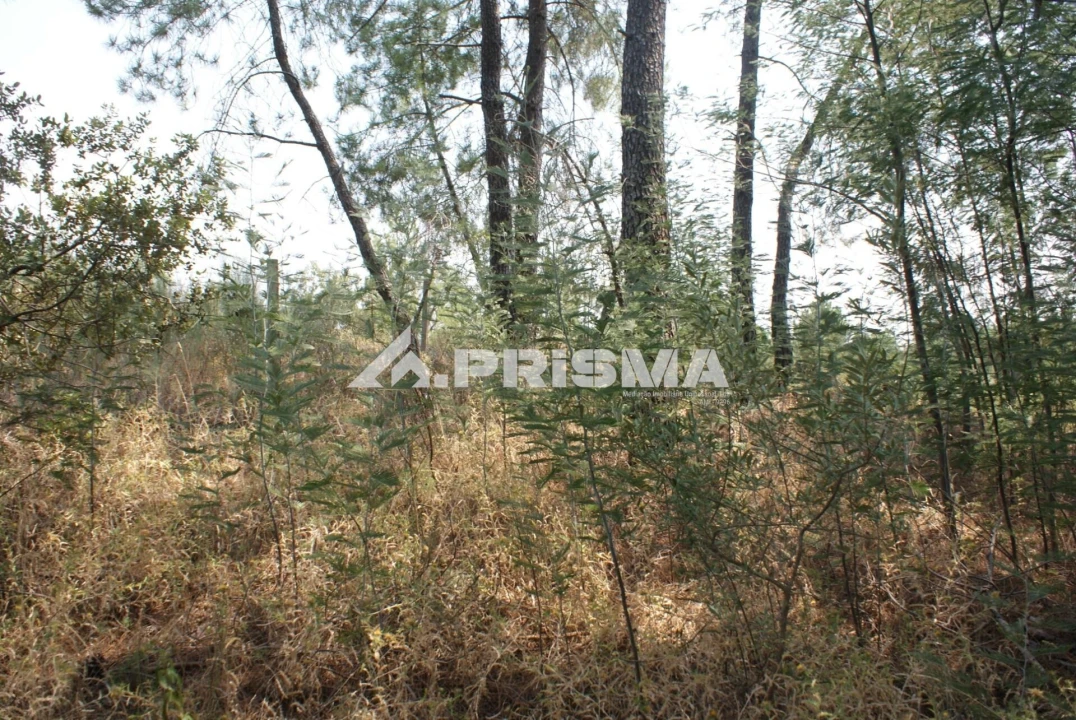 Terreno para Venda em Orca Foto 25