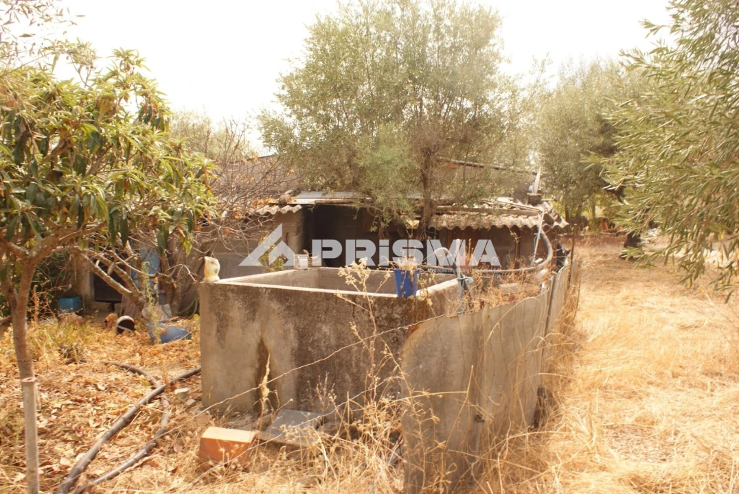 Terreno para Venda em Orca Foto 31