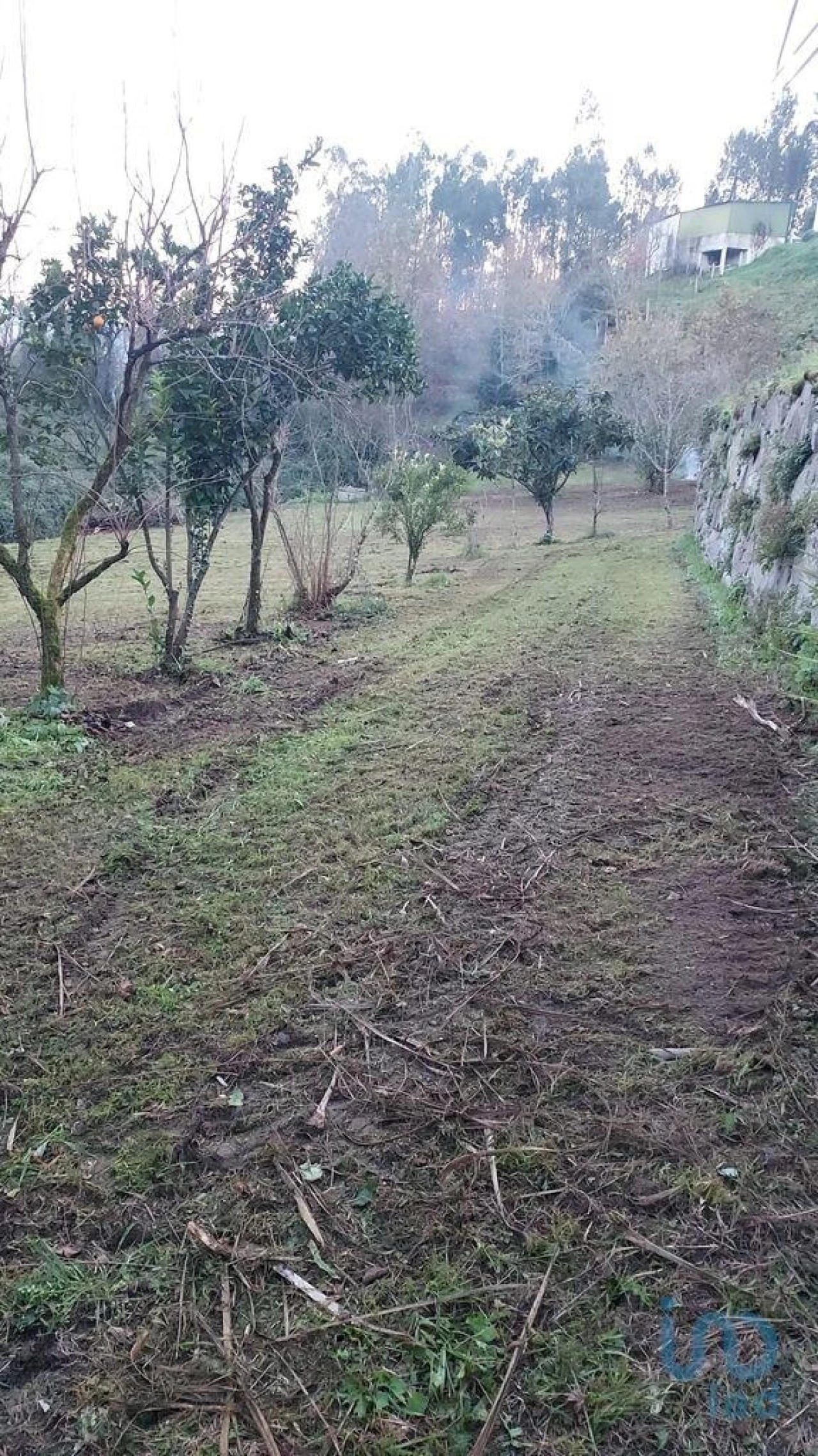 Terreno para Venda em Sande e São Lourenço Foto 4