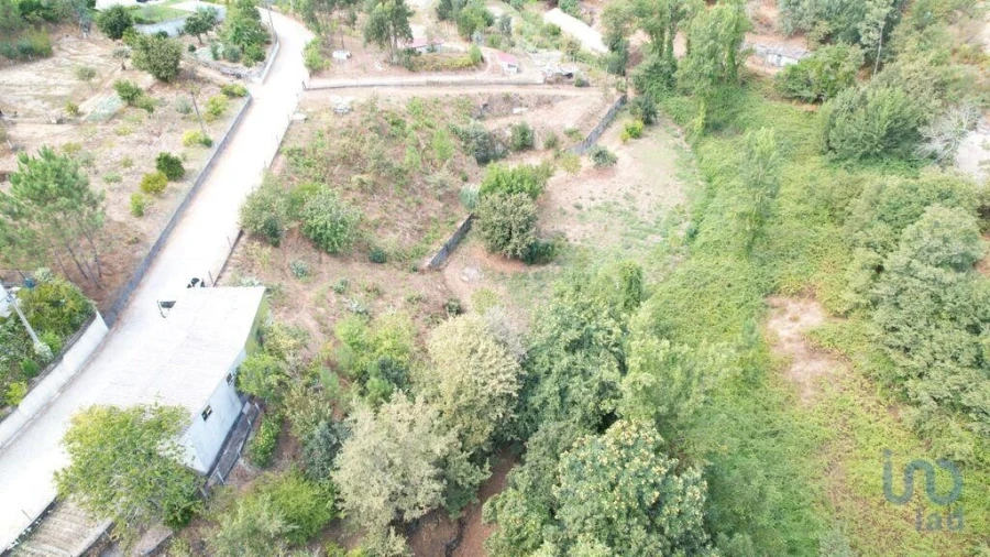 Terreno para Venda em Sande e São Lourenço Foto 10