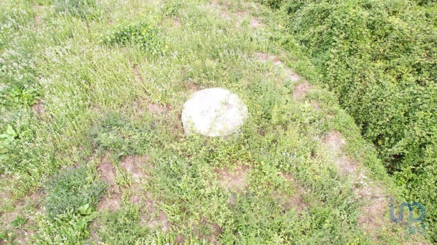 Terreno para Venda em Sande e São Lourenço Foto 14