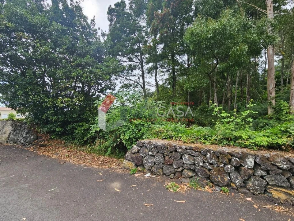 Terreno para Venda em São Mateus da Calheta Foto 6