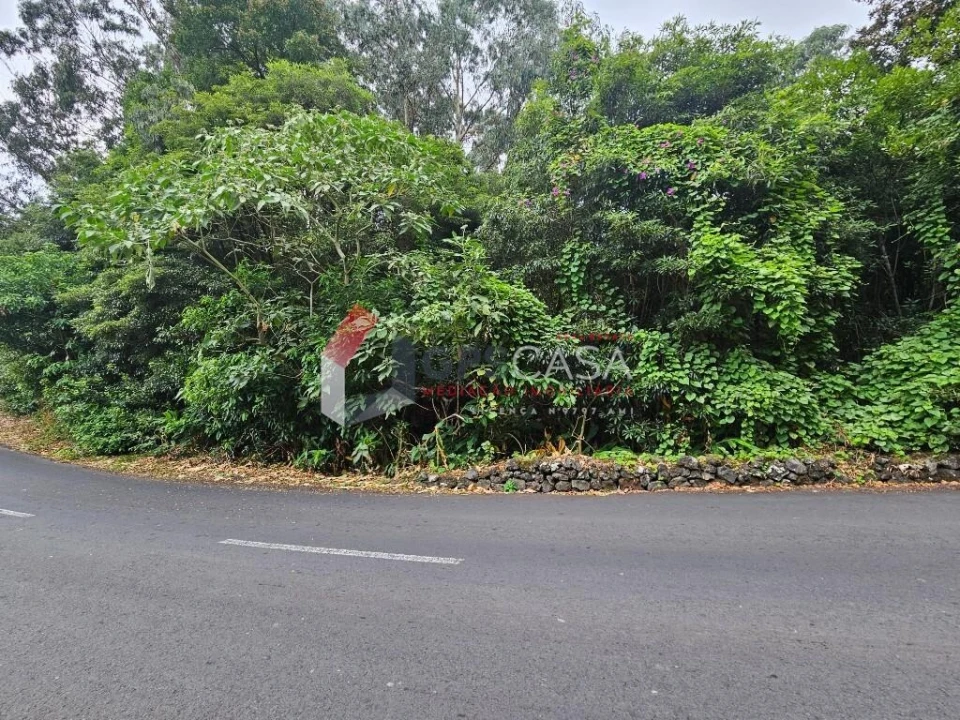 Terreno para Venda em São Mateus da Calheta Foto 7