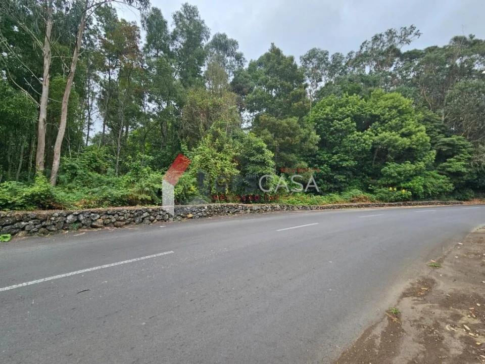 Terreno para Venda em São Mateus da Calheta Foto 5