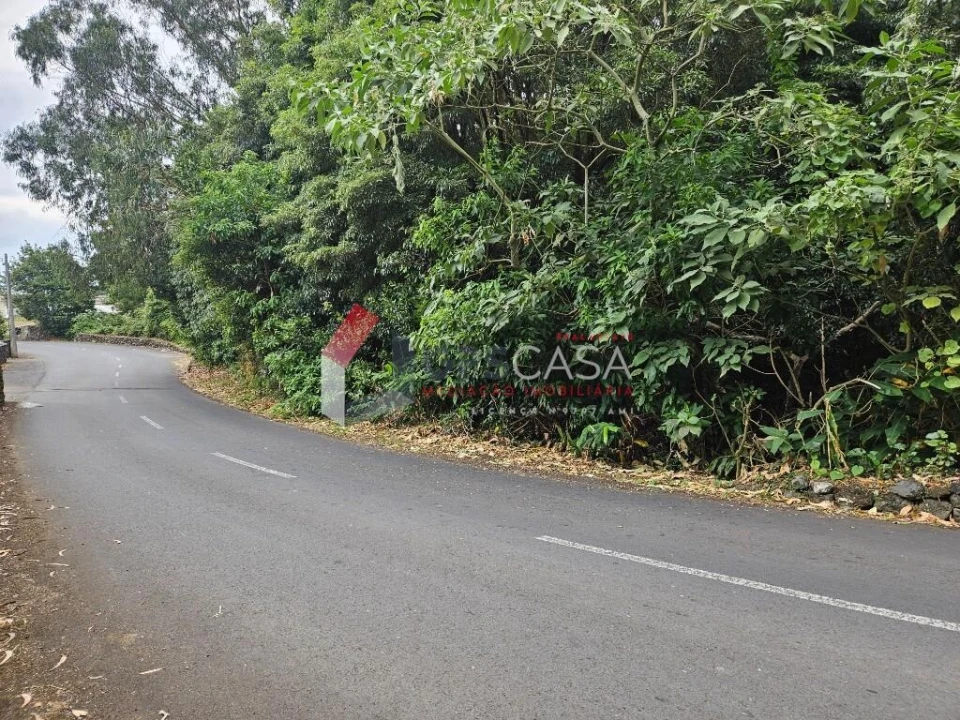 Terreno para Venda em São Mateus da Calheta Foto 8