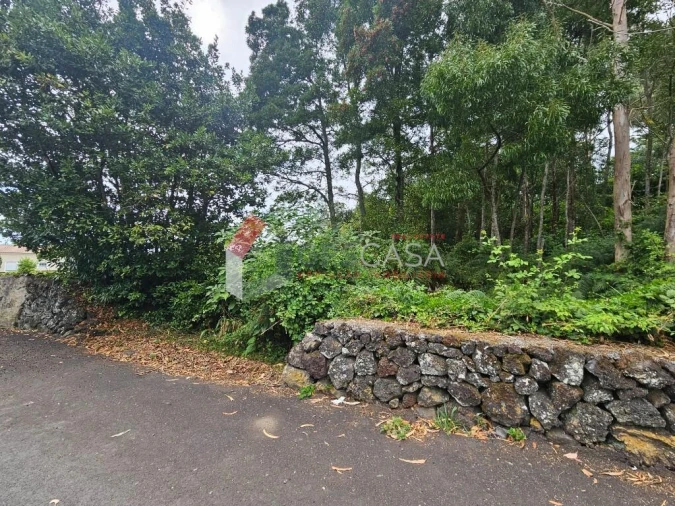 Terreno para Venda em São Mateus da Calheta Foto 6