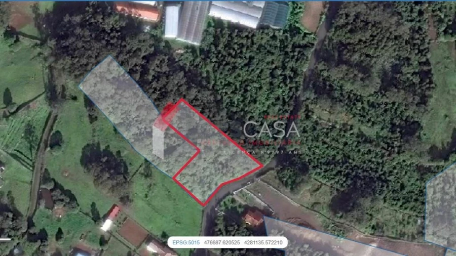 Terreno para Venda em São Mateus da Calheta Foto 12