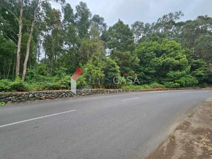 Terreno para Venda em São Mateus da Calheta Foto 5