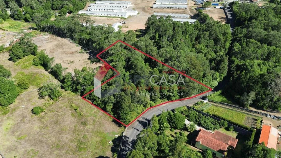 Terreno para Venda em São Mateus da Calheta Foto 1