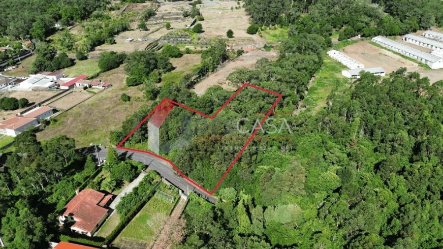 Terreno para Venda em São Mateus da Calheta Foto 2