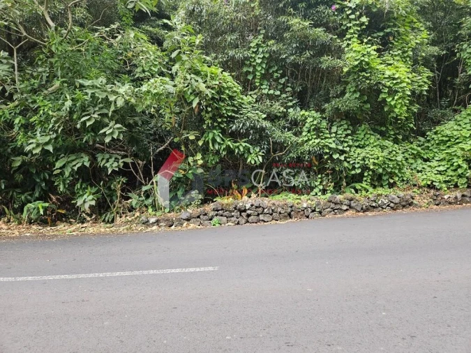 Terreno para Venda em São Mateus da Calheta Foto 9