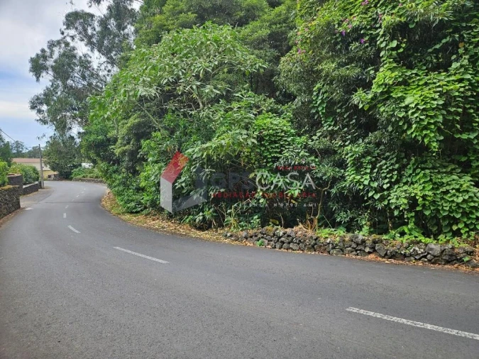 Terreno para Venda em São Mateus da Calheta Foto 10