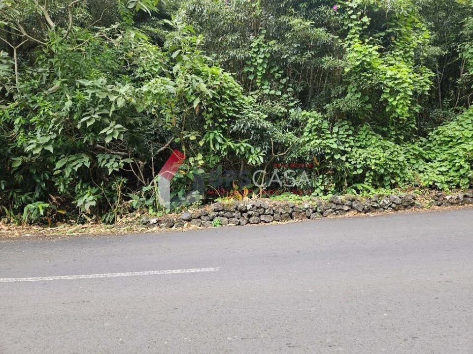 Terreno para Venda em São Mateus da Calheta Foto 9