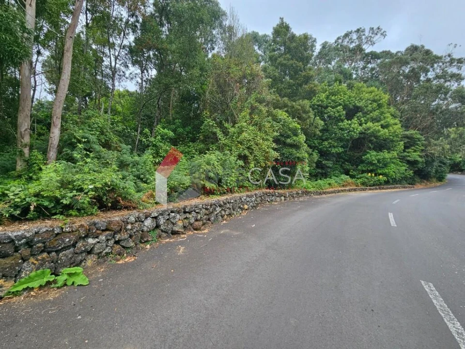Terreno para Venda em São Mateus da Calheta Foto 4