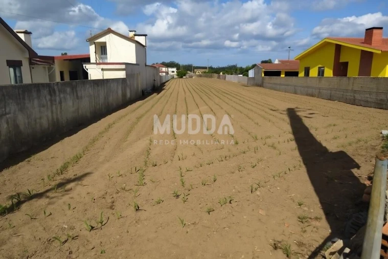 Terreno para Venda em Valega
