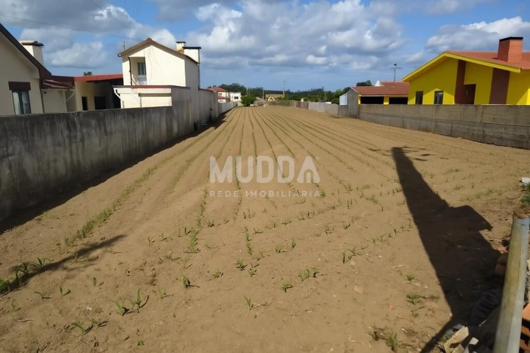Terreno para Venda em Valega Foto 1