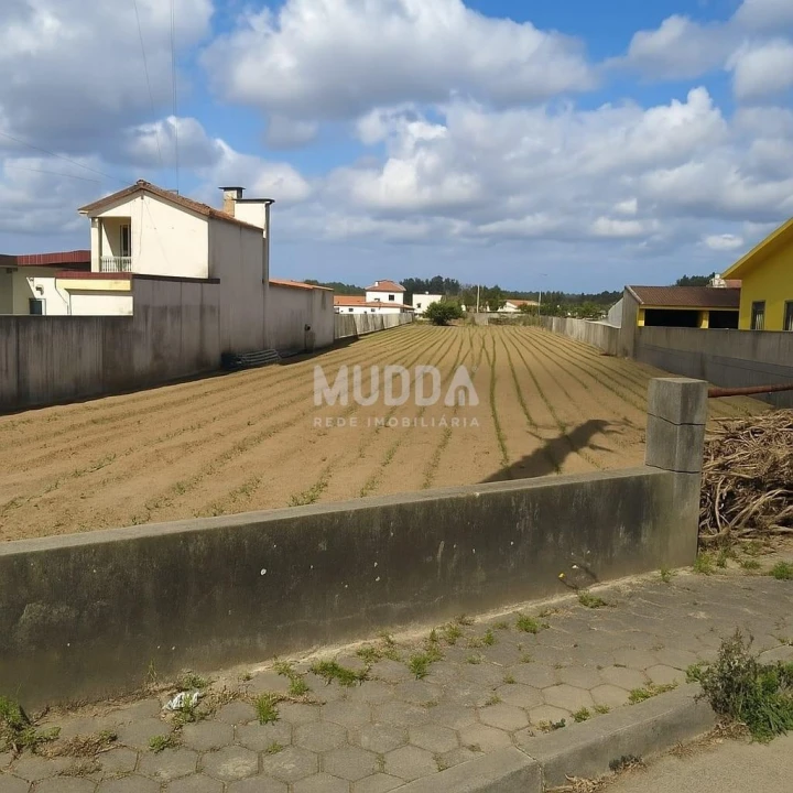 Terreno para Venda em Valega Foto 2