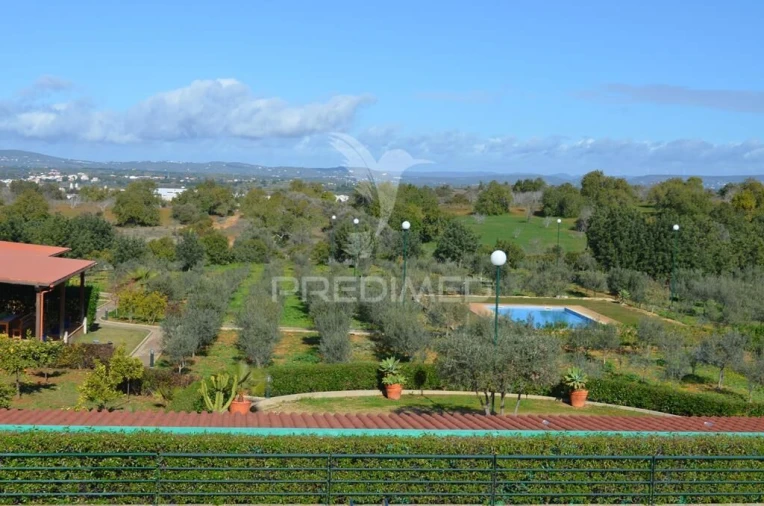 Quinta T5 para Venda em Guia Foto 17