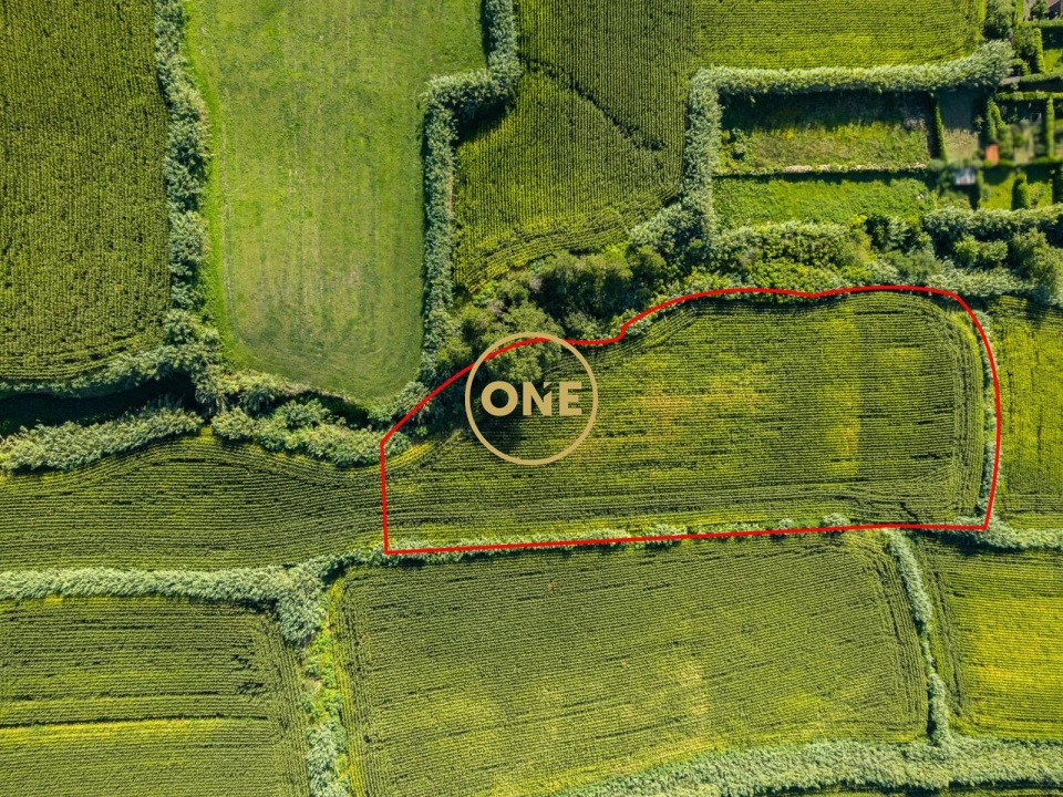 Terreno para Venda em Mosteiros Foto 5