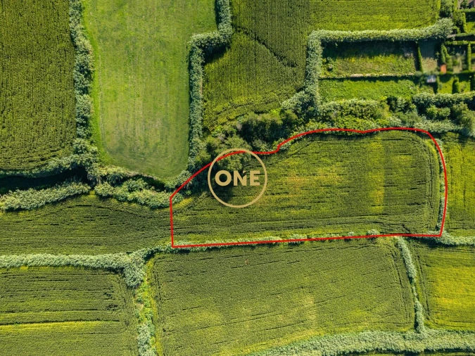 Terreno para Venda em Mosteiros Foto 5