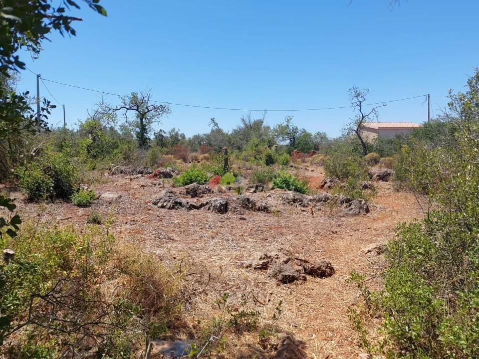 Terreno para Venda em São Bartolomeu de Messines Foto 5