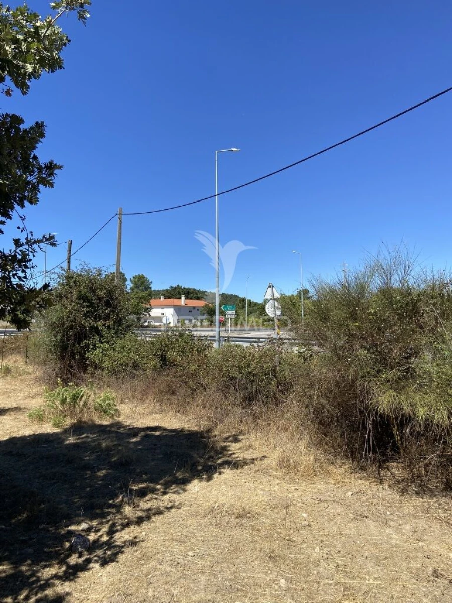Terreno para Venda em Ribeira de Nisa e Carreiras Foto 15