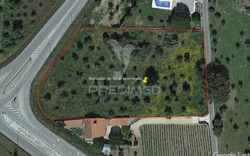 Terreno para Venda em Ribeira de Nisa e Carreiras Foto 13