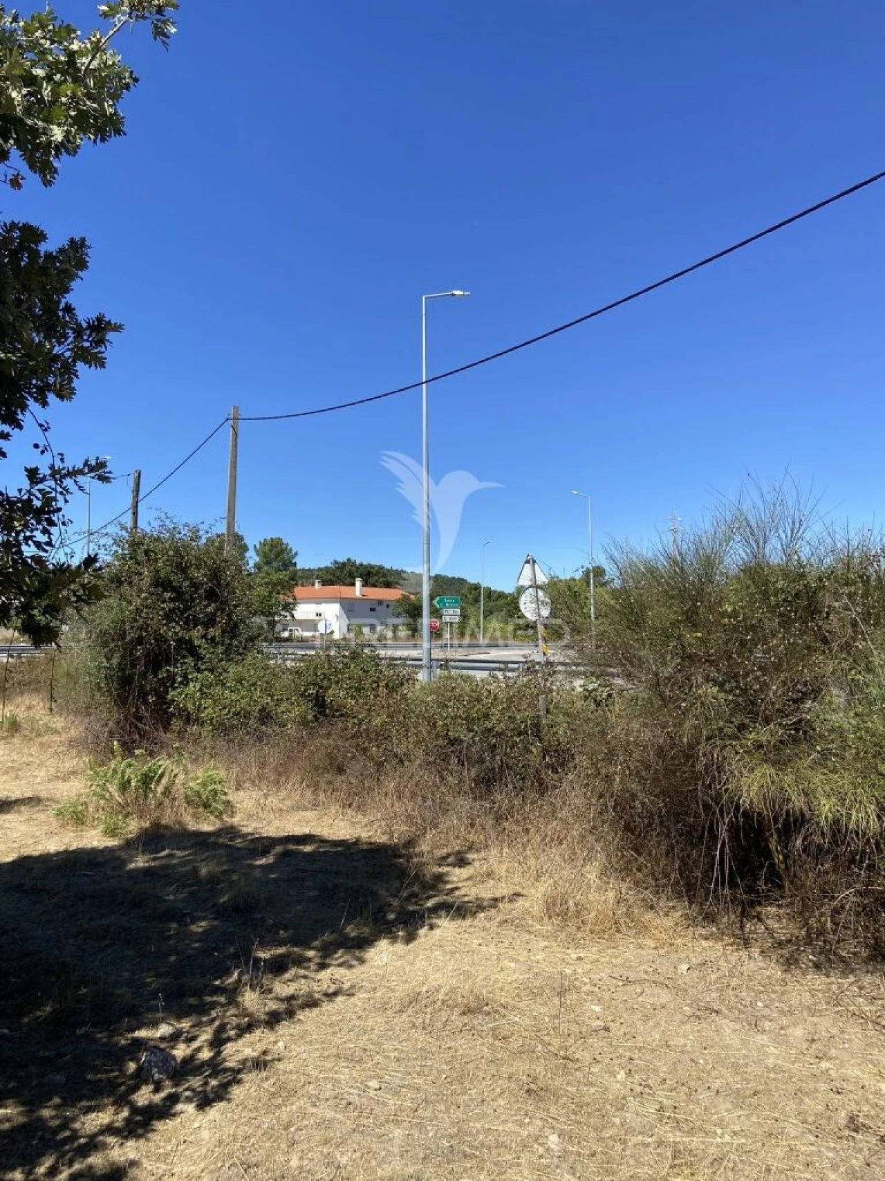 Terreno para Venda em Ribeira de Nisa e Carreiras Foto 15