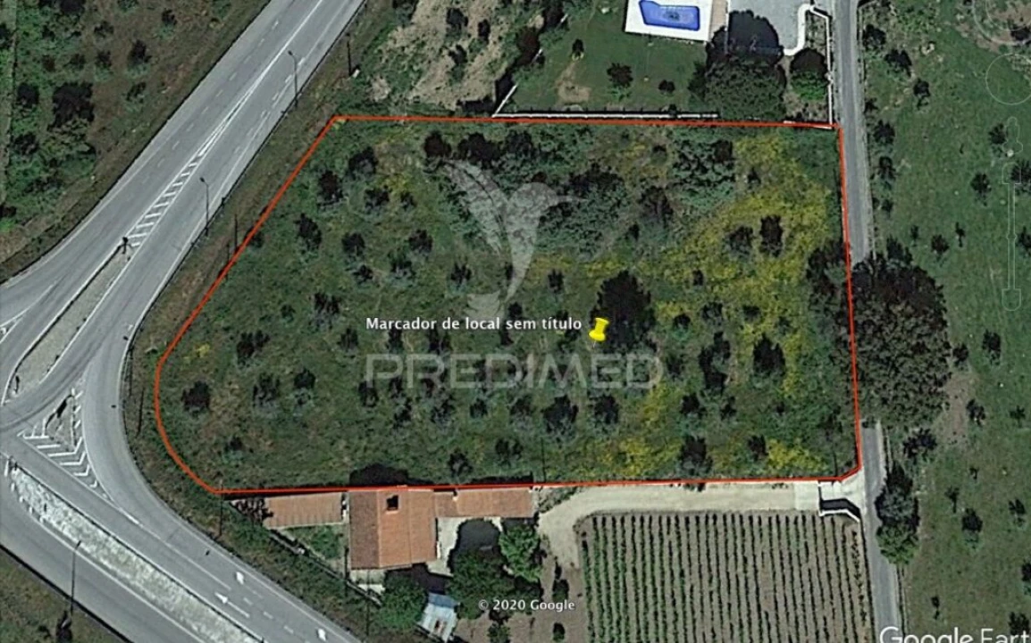 Terreno para Venda em Ribeira de Nisa e Carreiras Foto 13