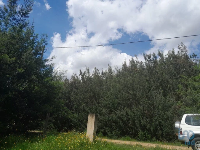 Terreno para Venda em Cortes do Meio Foto 6