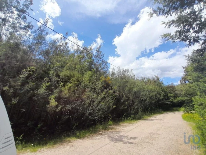 Terreno para Venda em Cortes do Meio Foto 5