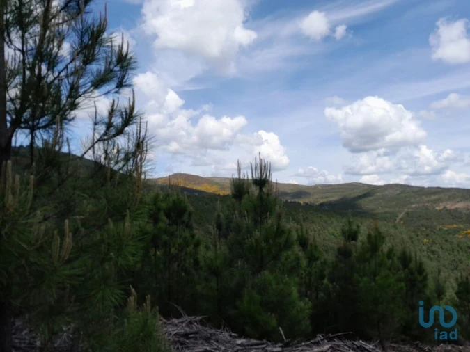 Terreno para Venda em Cortes do Meio Foto 3