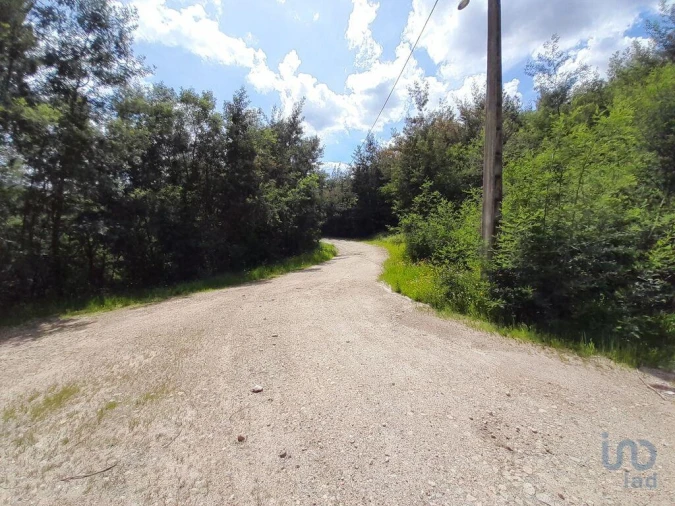 Terreno para Venda em Cortes do Meio Foto 10