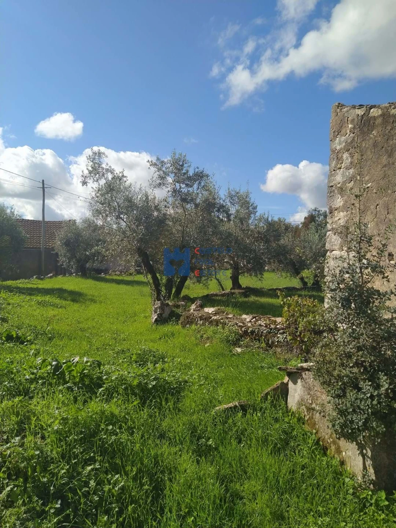 Moradia T3 para Venda em Fatima Foto 9