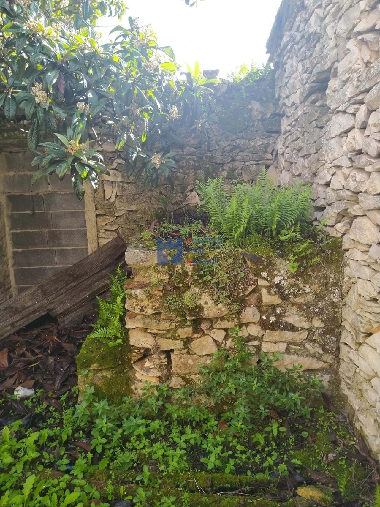 Moradia T3 para Venda em Fatima Foto 5