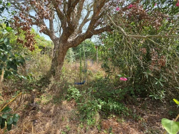 Moradia T4 para Venda em Caldas da Rainha - Santo Onofre e Serra do Bouro