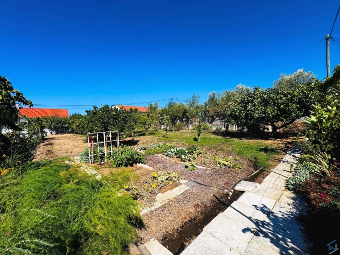 Moradia T3 para Venda em São Pedro de Tomar Foto 30