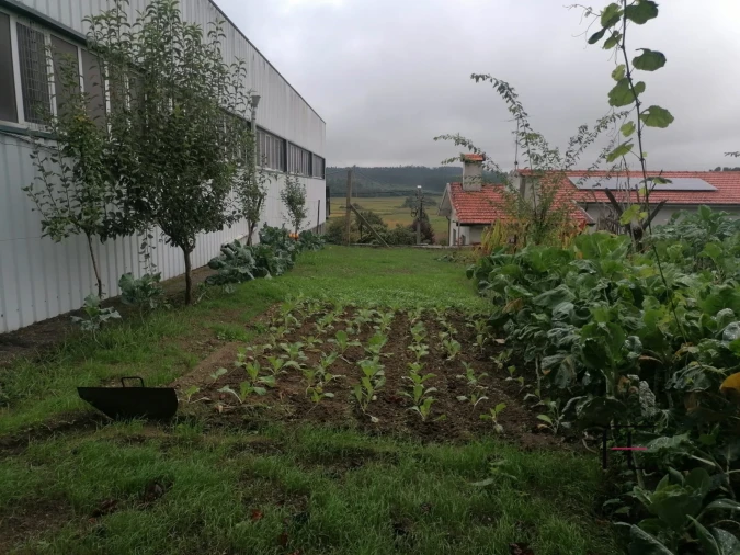 Armazém para Venda em Raimonda Foto 13
