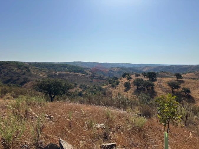 Terreno Agricola ou Rústico para Venda em Azinhal Foto 1