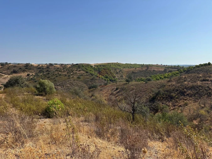 Terreno Agricola ou Rústico para Venda em Odeleite Foto 1