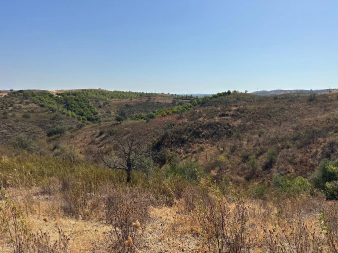 Terreno Agricola ou Rústico para Venda em Odeleite Foto 2
