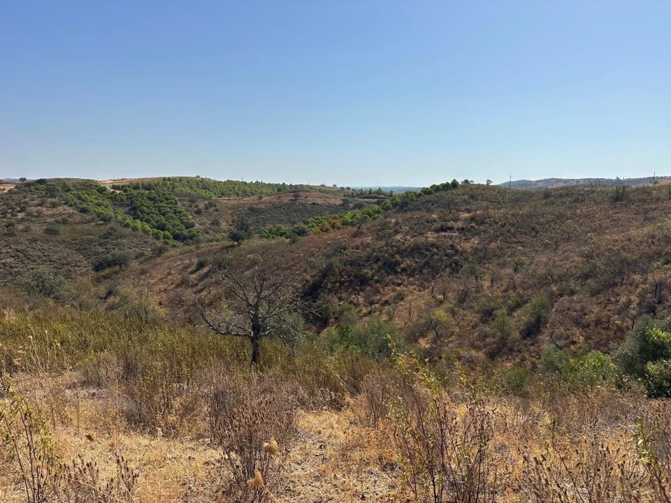 Terreno Agricola ou Rústico para Venda em Odeleite Foto 2