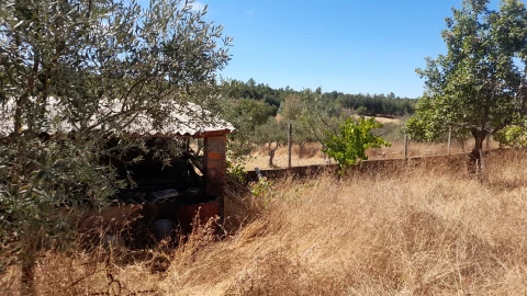 Terreno para Venda em Benquerenças